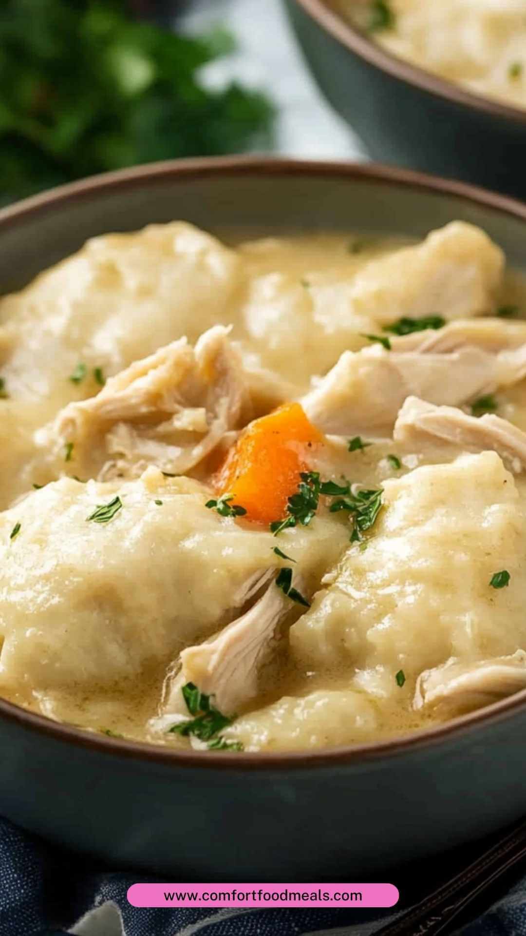 Best Old Fashioned Chicken And Dumplings Recipe