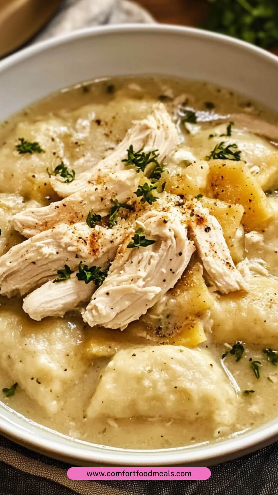 Best Southern Living Chicken And Dumplings Recipe