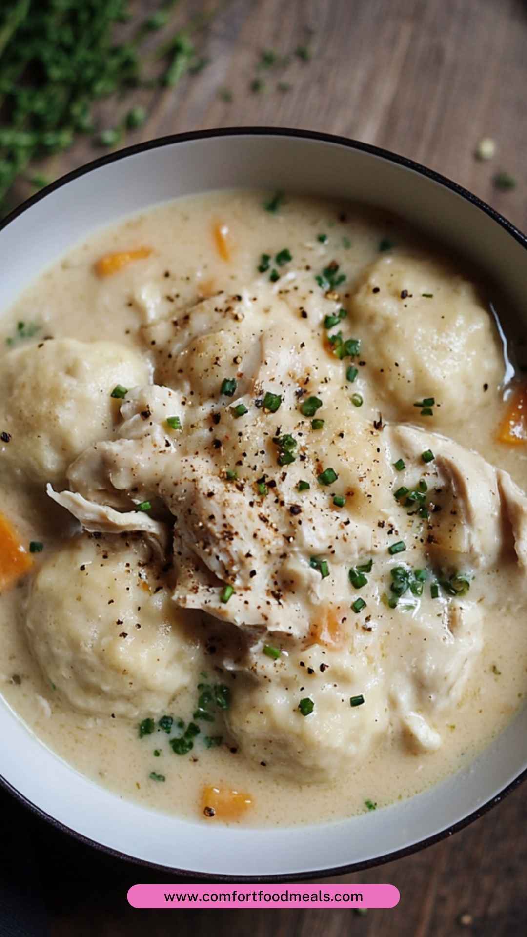 Hoyt Tidwell Chicken and Dumplings Copycat Recipe Hoyt Tidwell Chicken and Dumplings Copycat Recipe