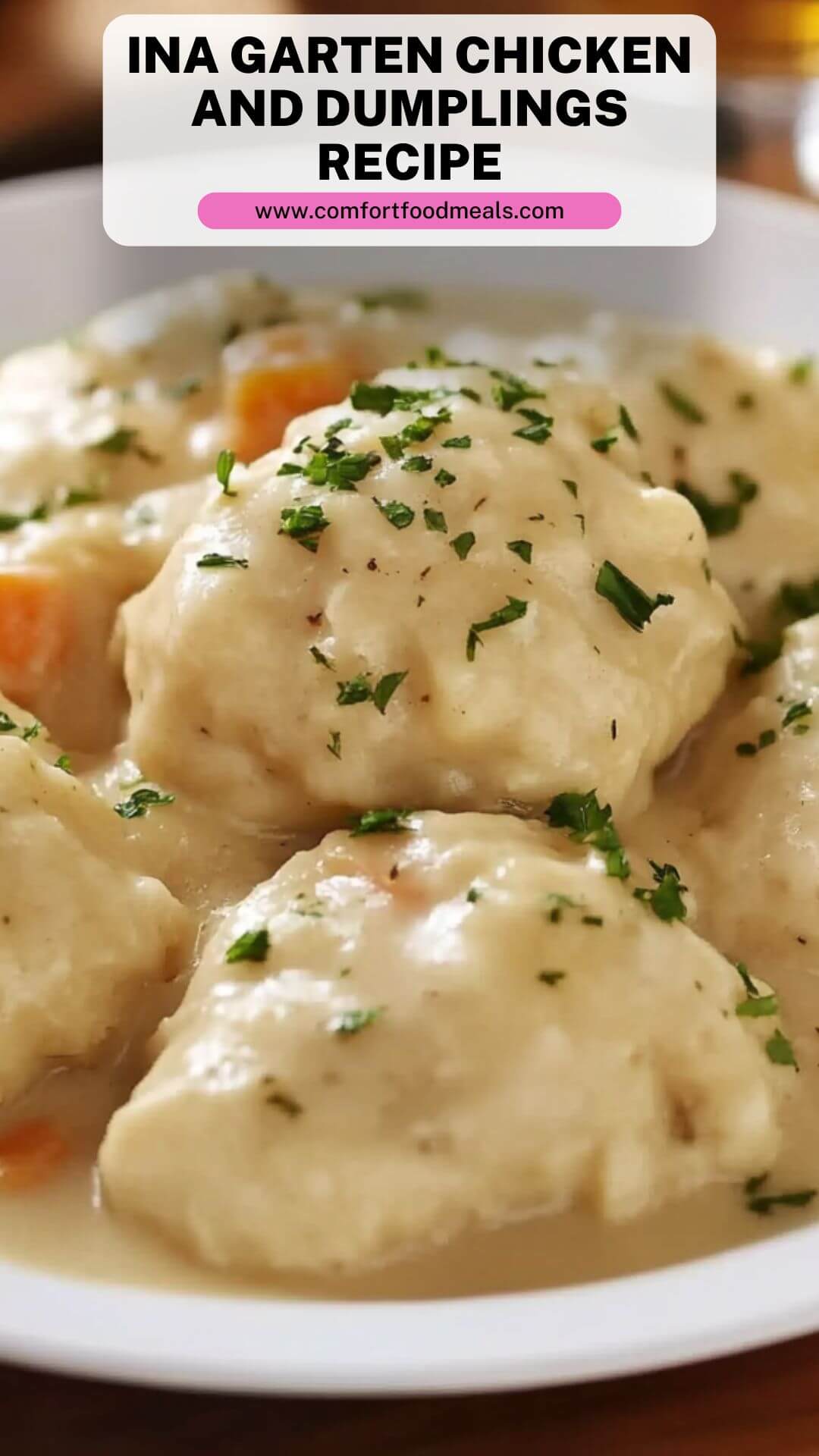 Ina Garten Chicken and Dumplings Recipe