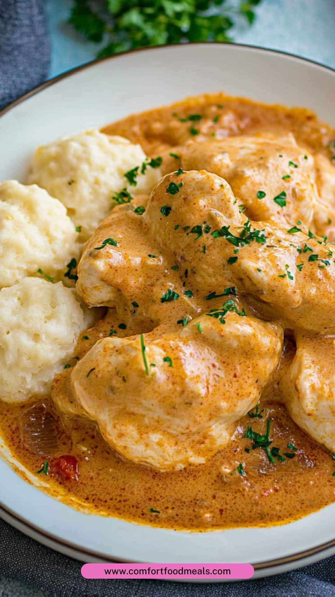 Best Chicken Paprikash and Dumplings Recipe