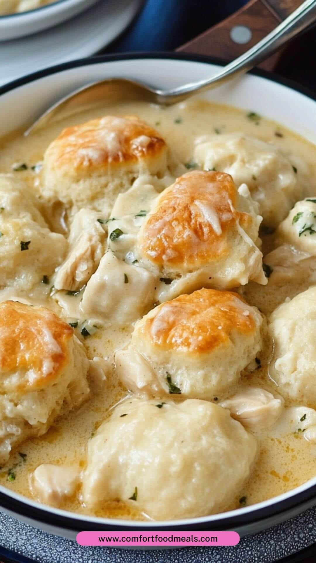 Best Chicken and Biscuit Dumplings Recipe Best Chicken and Biscuit Dumplings Recipe