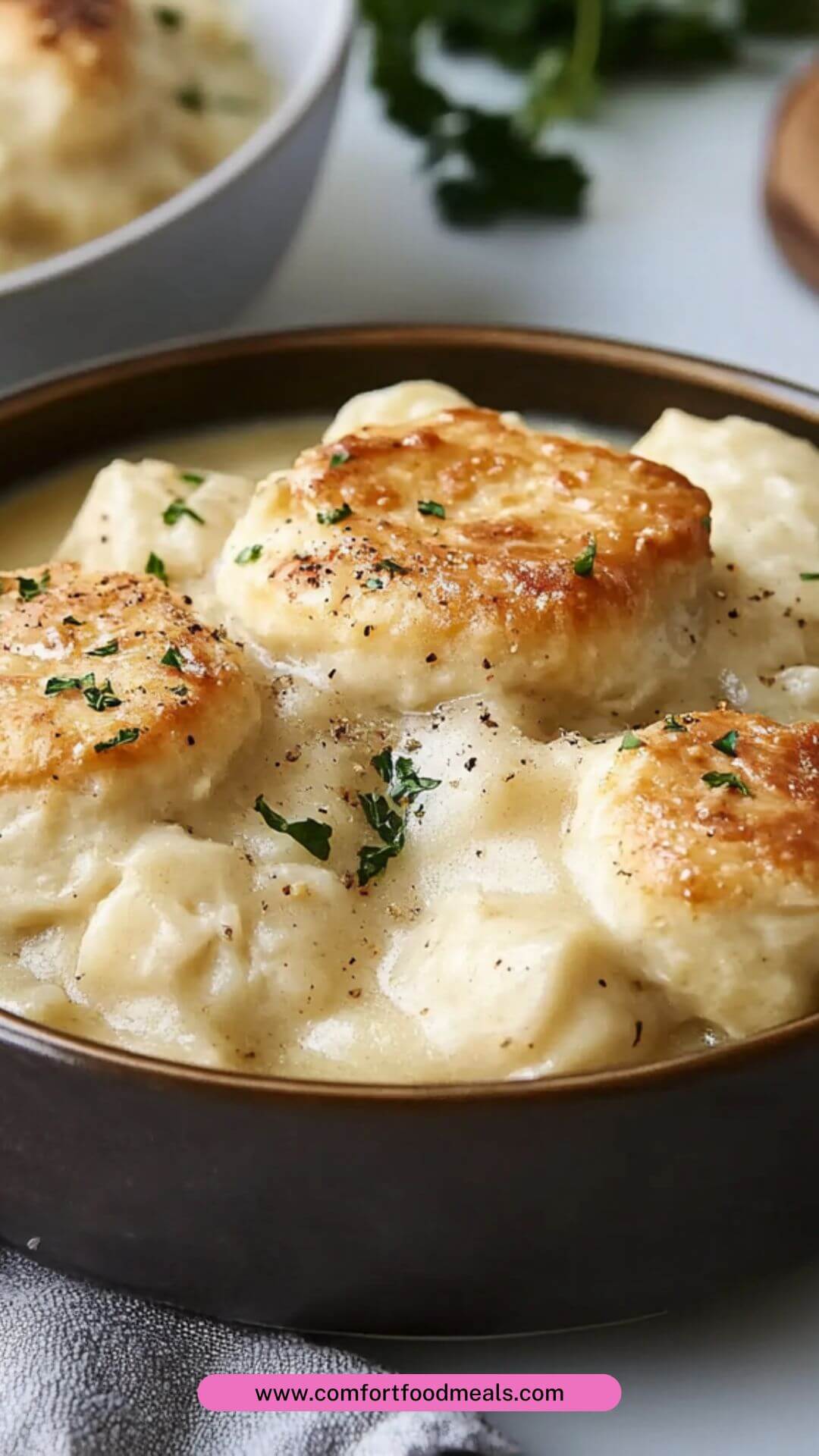 Best Chicken and Dumplings Recipe with Biscuits Best Chicken and Dumplings Recipe with Biscuits