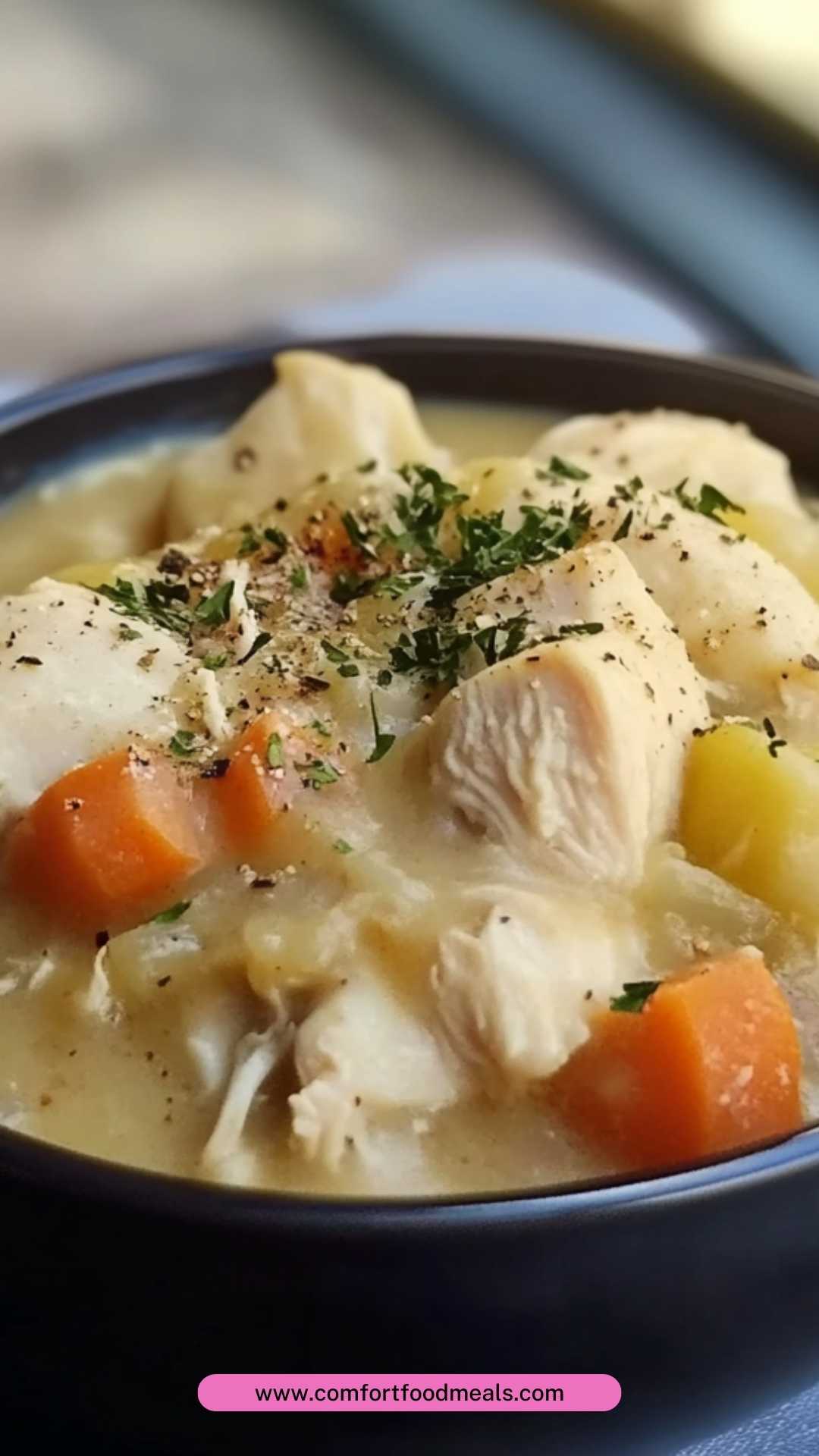 Best Grandma's Chicken and Dumplings Recipe Best Grandma's Chicken and Dumplings Recipe