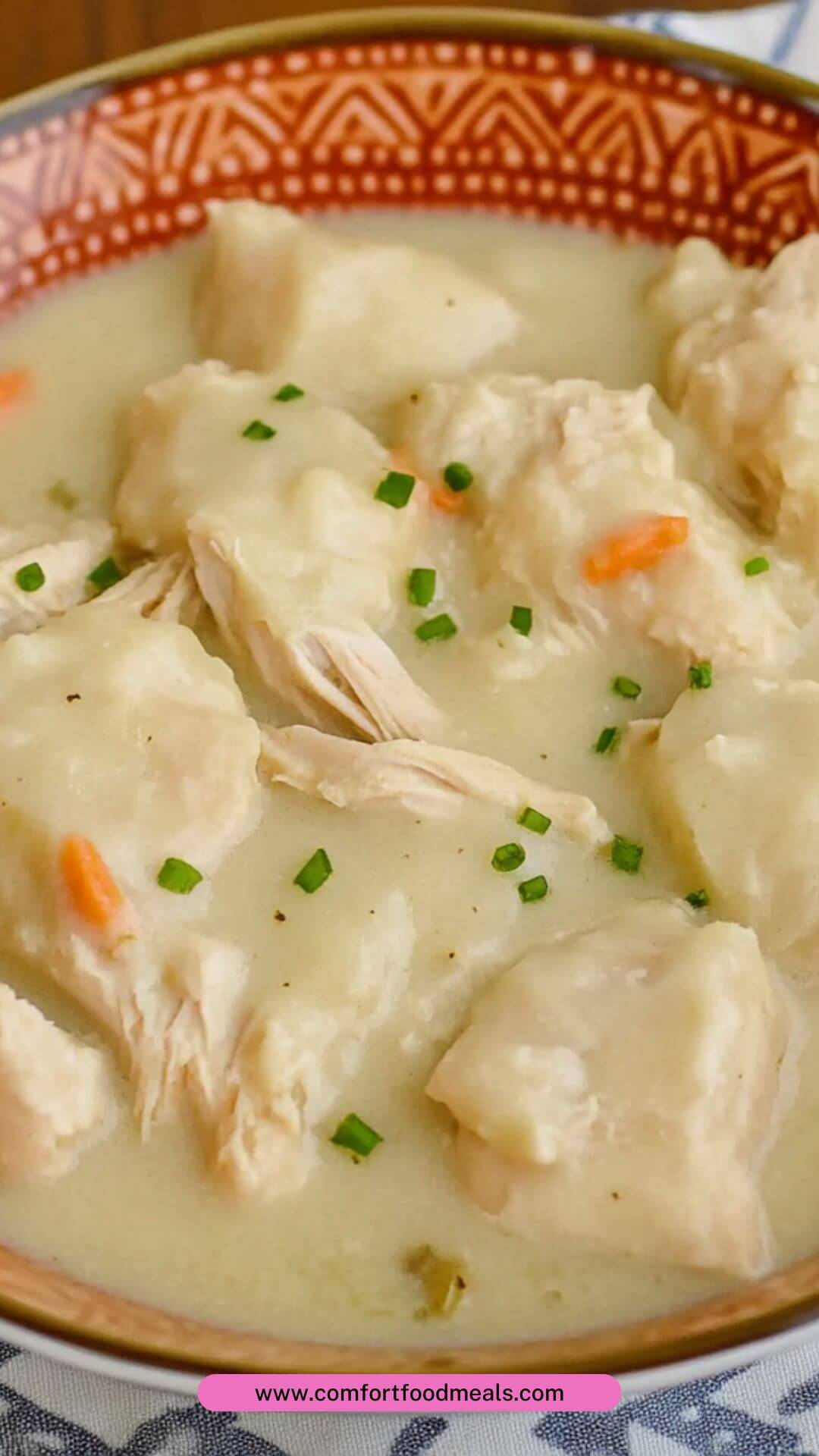 Best Magnolia Chicken and Dumplings Recipe