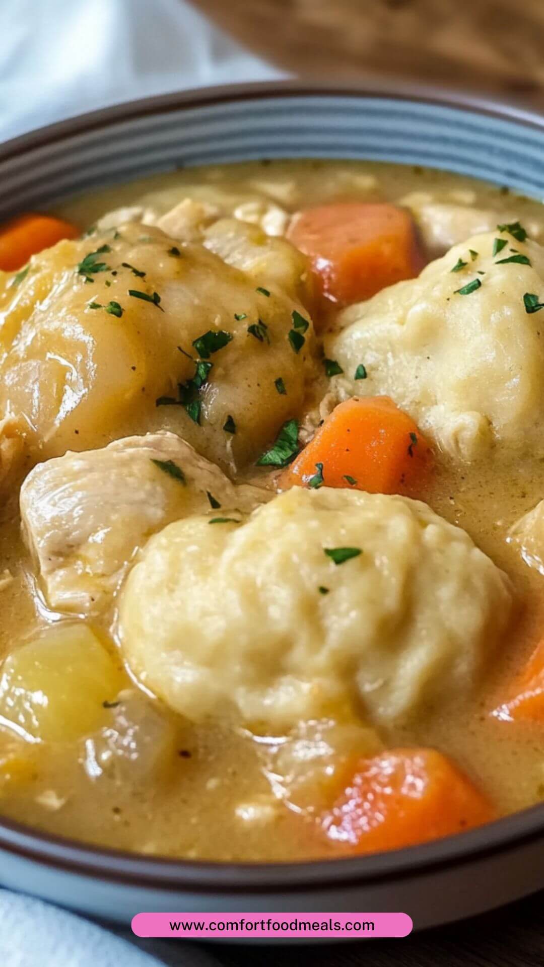 Best Chicken Stew and Dumplings Recipe