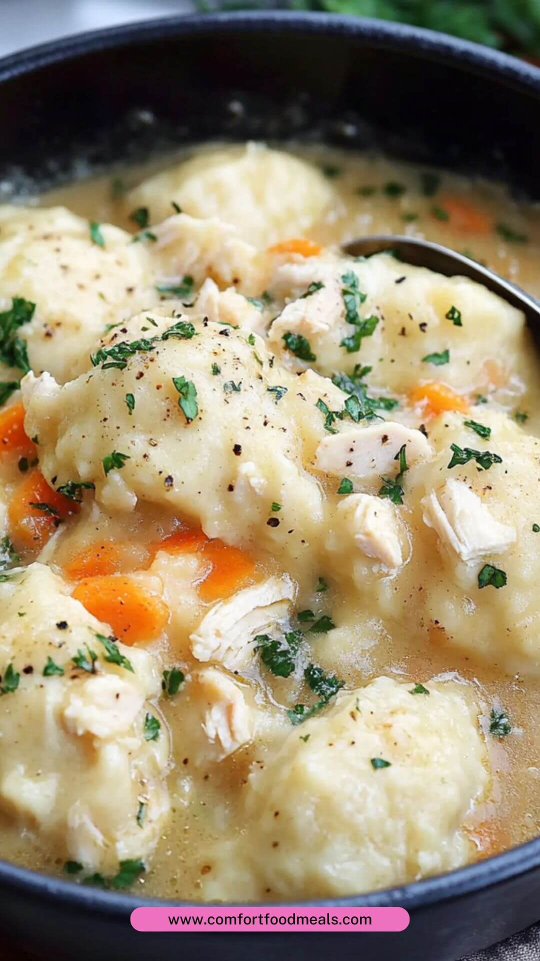 Best Chicken and Dumplings Recipe with Rotisserie Chicken