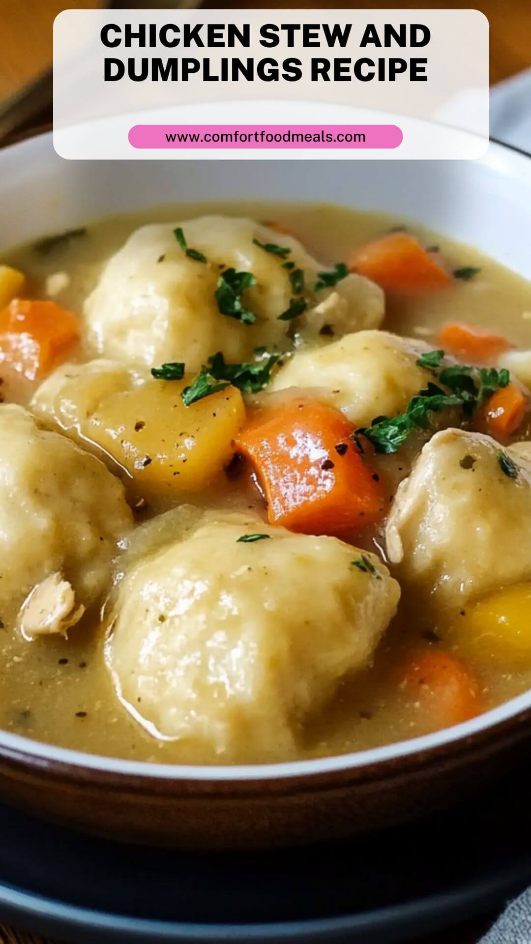 Chicken Stew and Dumplings Recipe – Comfort Food Meals