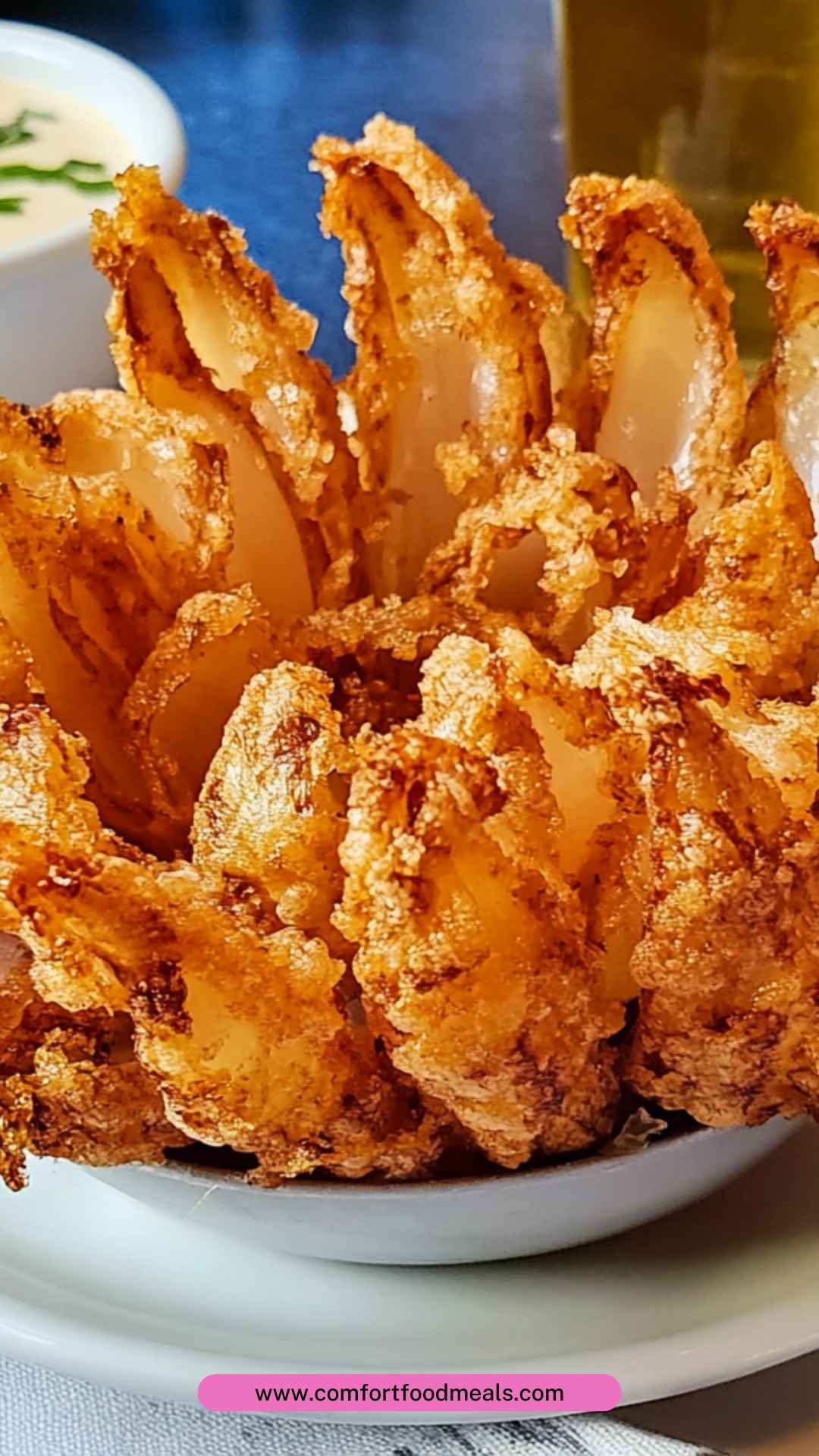 Best Blooming Onion