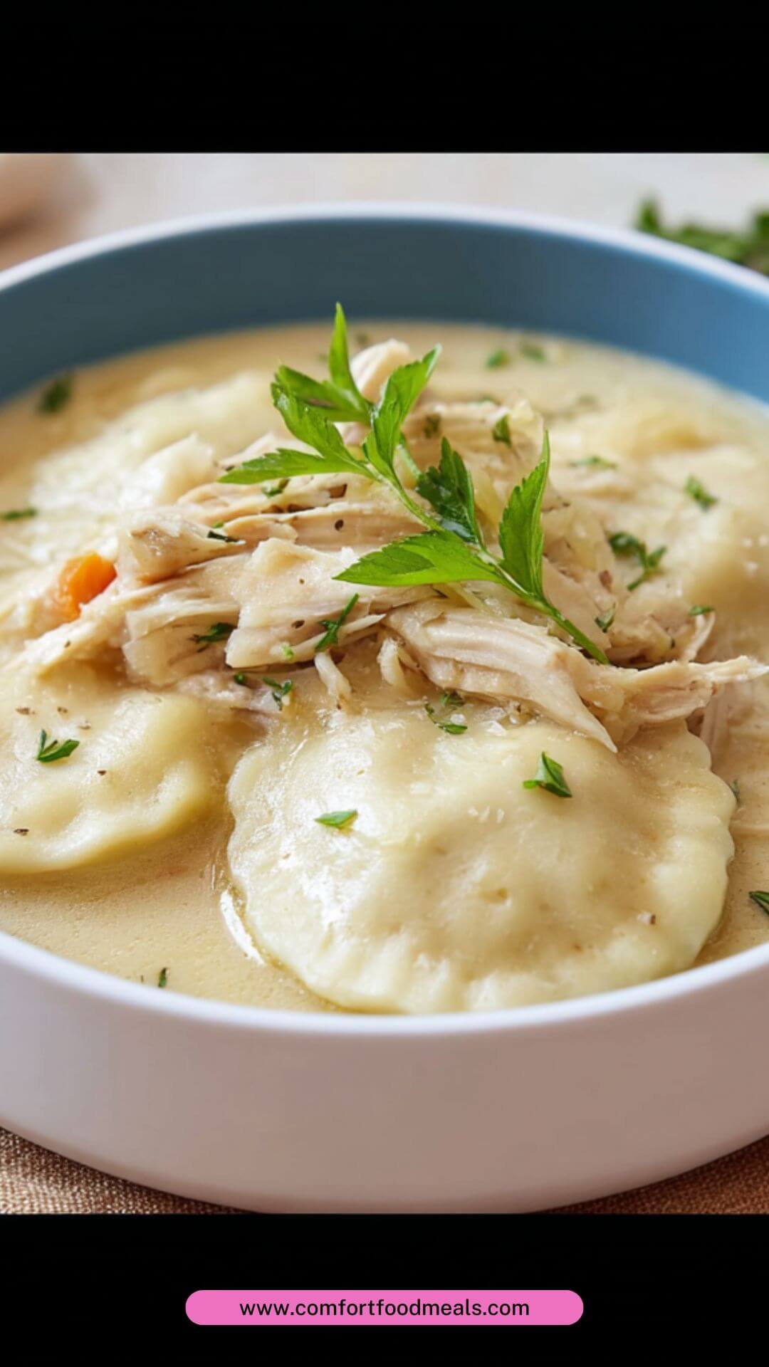Best Chicken and Flat Dumplings Recipe