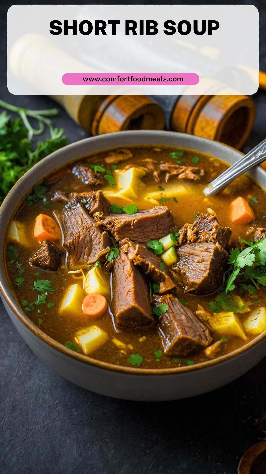 Short Rib Soup – Comfort Food Meals